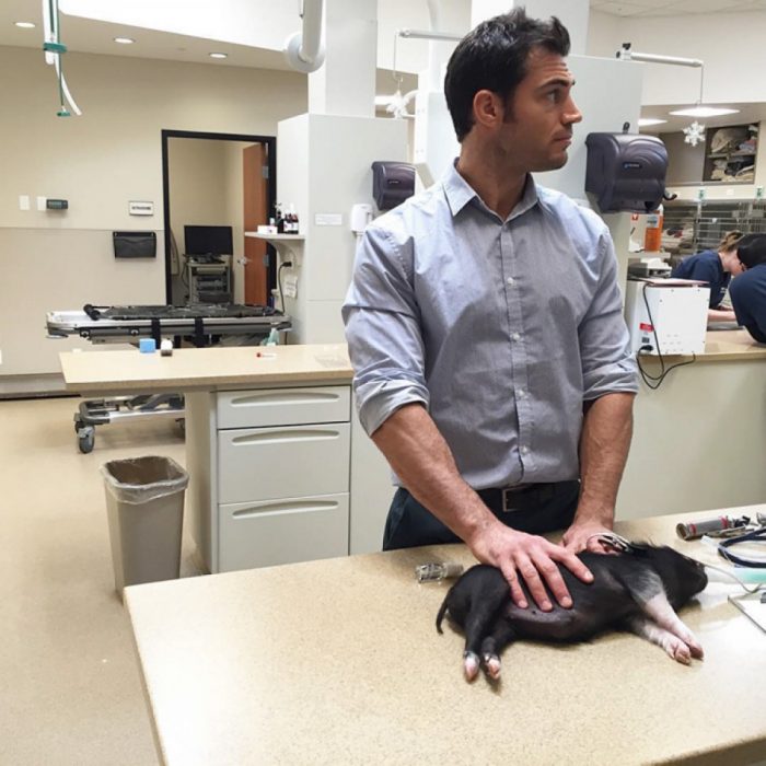 Veterinario Evan Antin con un minipig 