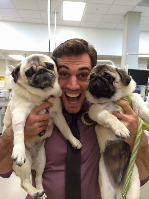 Veterinario Evan Antin con perros pugs 