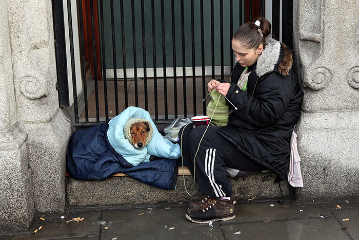 mujer de la calle cobija y tapa a un perro