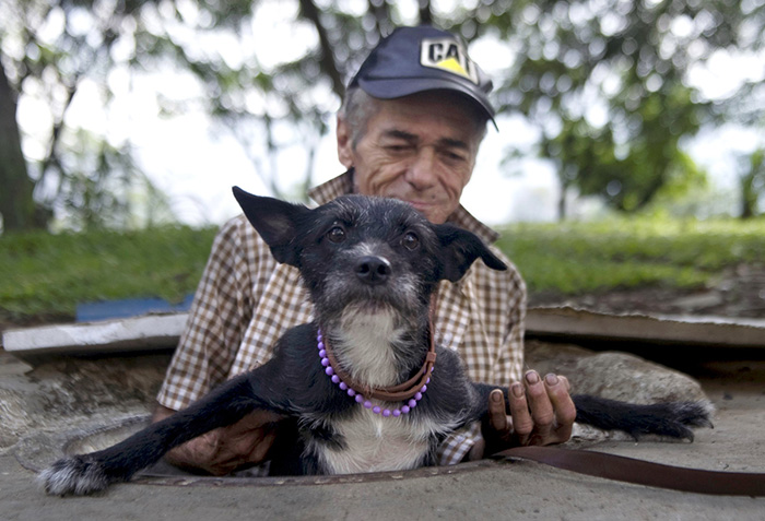 hombre rescata perro