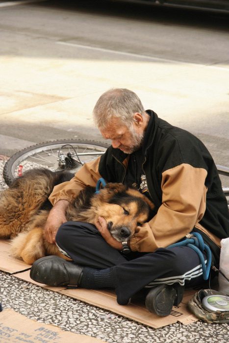 hombre de la calle con perro