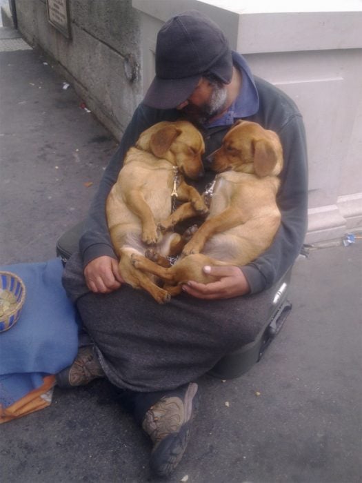 hombre de la calle carga a dos perros