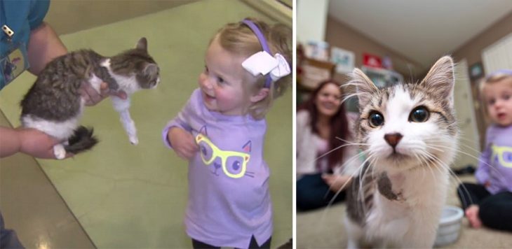 Niña y gatito ambos con un brazo amputado 