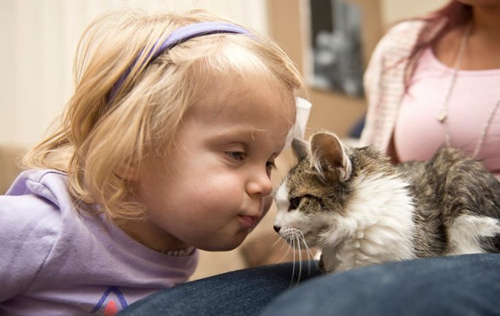 Niña que sobrevivió al cancer viendo a un gatitio que tiene un brazo amputado 