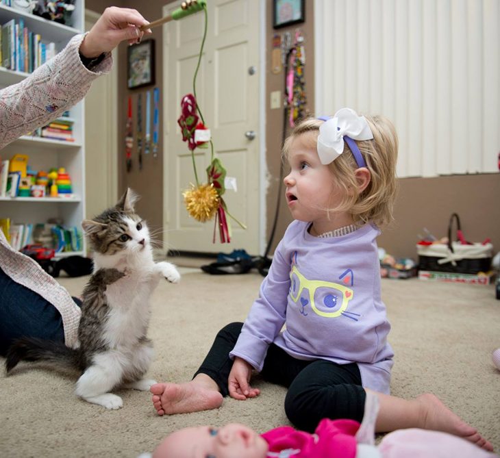 Niña jugando con un gato que tiene la pata amputada 