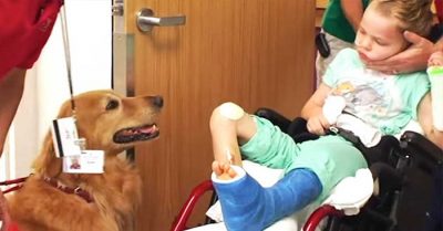 Unos padres le presentan a su hijo ‘casi sin vida’ a un perro. Lo que ocurre después es un milagro