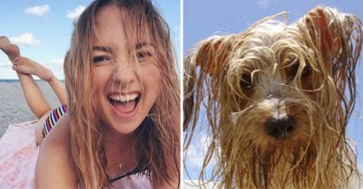 YouAreDog: La cuenta de Twitter que está enloqueciendo a los amantes de los perros ¡Encuentran a tu gemelo!