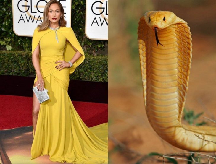 Jennifer Lopez comparada con una cobra amarilla 