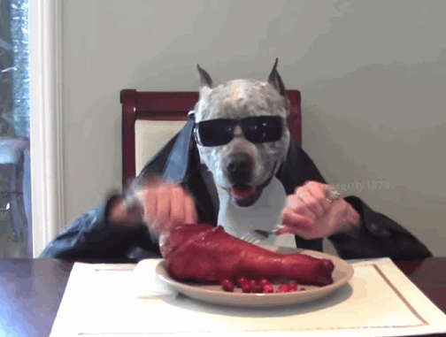perro comiendo en mesa gif