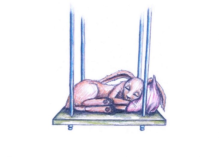 ilustracion el conejito que queria dormirse