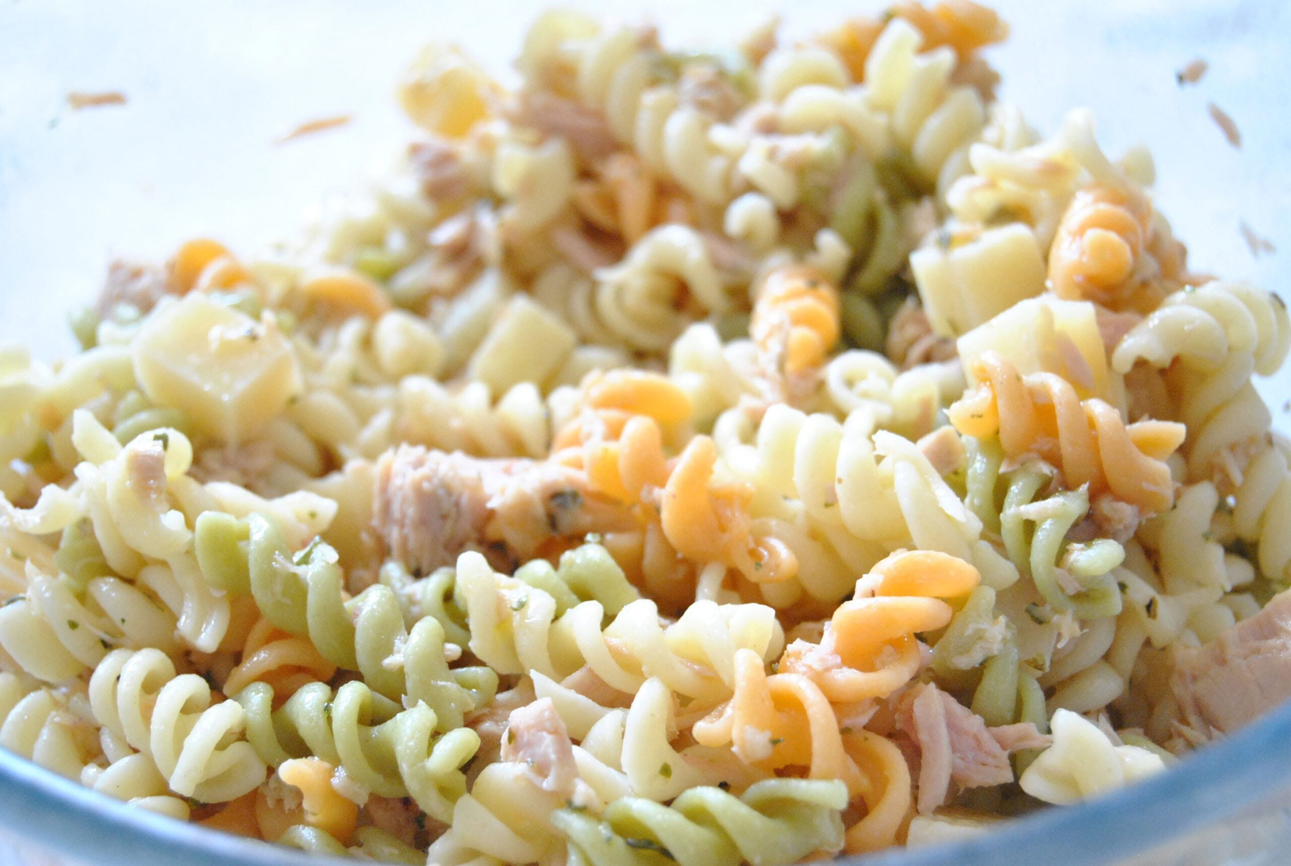 15 recetas sencillas y diferentes para preparar atún 15 recetas sencillas y diferentes para preparar atún
