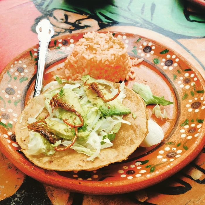 Tacos de alacrán 