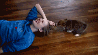 GIF perrito atacando a una chica 