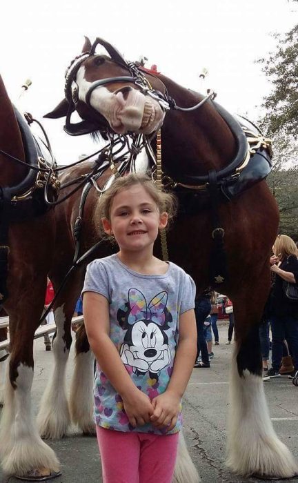 photobomb de caballo a niña