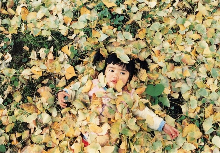 Kotori Kawashima fotografiando a una niña entre las hojas de un árbol 