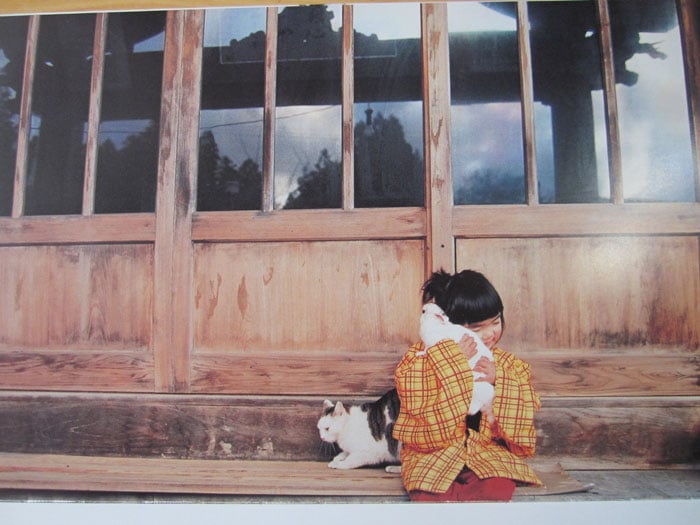 Kotori Kawashima fotografiando a una niña mientras acaricia un conejo 