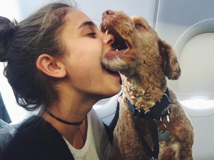 Perro mordiendo cariñosamente a una chica en la nariz 