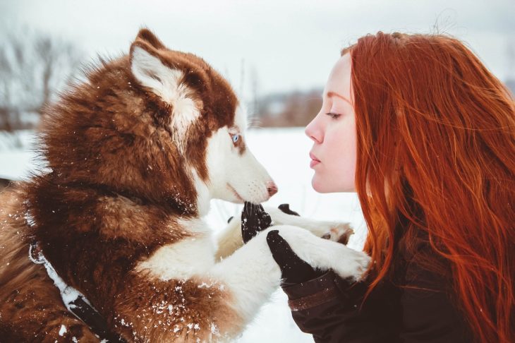 Chica sosteniendo de las patas a un perro husky mientras están en la nieve 