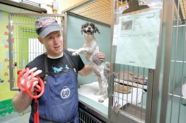 Mark es un peluquero le corta el pelo a perros viejos gratis 