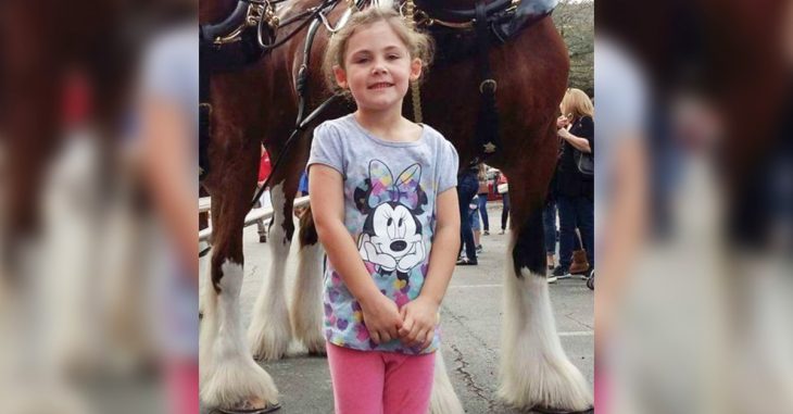 Enorme caballo posa con esta increíble sonrisa en la foto de una adorable niña
