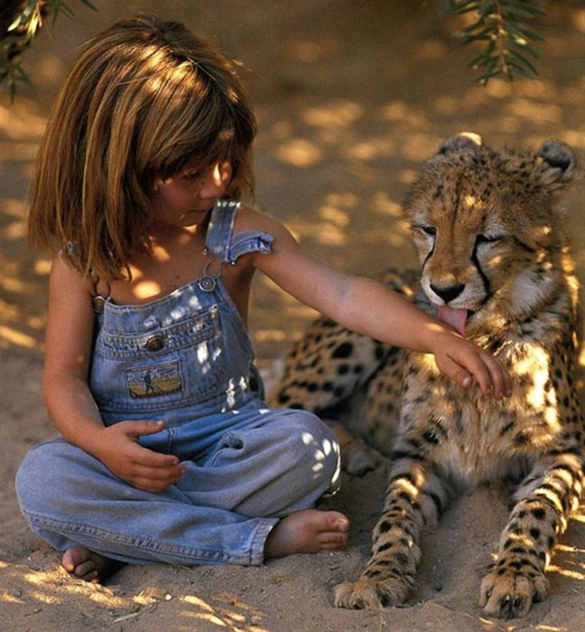 niña tippi sentada con cachorro leopardo lame su brazo