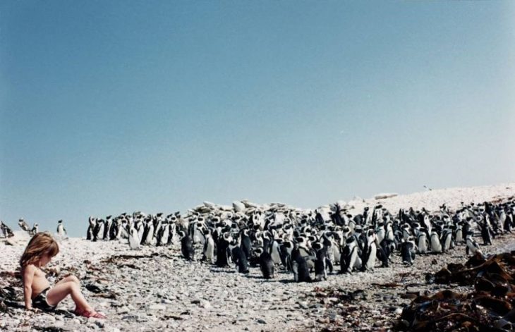 niña tippi sentada al rededor de pinguinos 