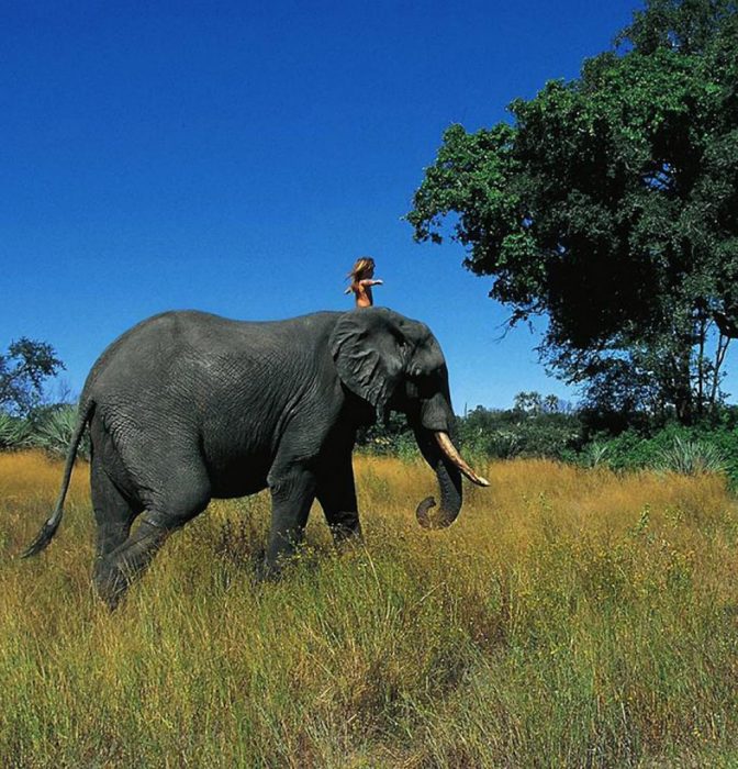 niña tippi en la selva arriba de amigo abu el elefante 