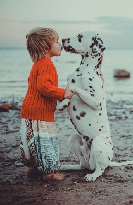 perro y niño beso tierno en la playa