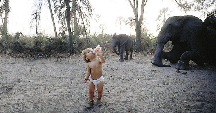 bebé tippi con biberón y elefante bebé atrás 