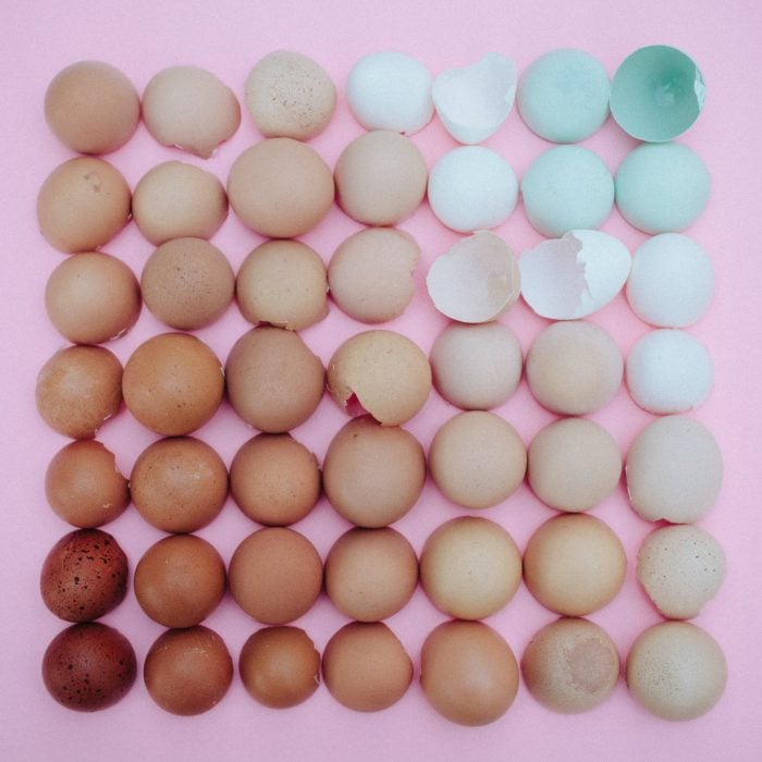 obsesiva del color degradado de cascarones de huevo oscuro claro 