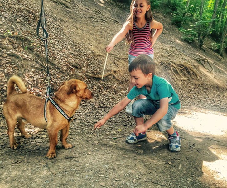 niños jugando con un perro en el campo bosque