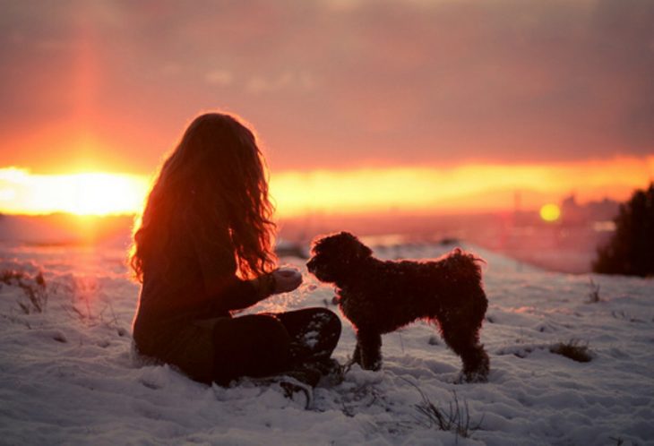 mujer sentada atardecer nieve perro comida 