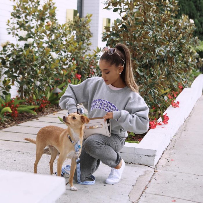 chica incada saca algo de su bolsa perro sueter arianna grande 