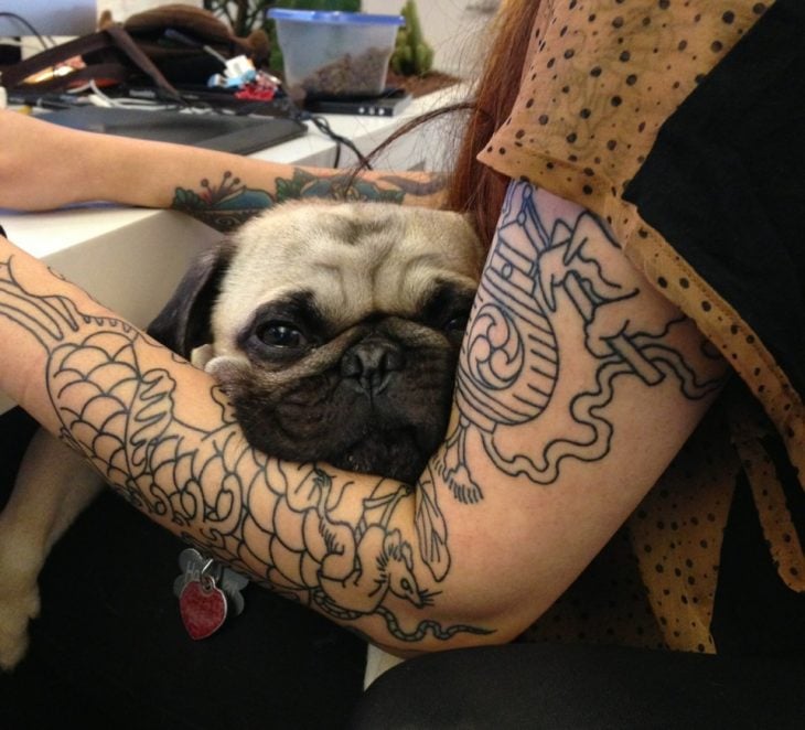 perro pug en el brazo tatuado de una chica 