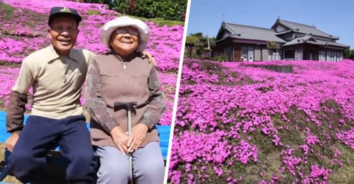 El hombre que plantó miles de flores para que las oliera su esposa ciega