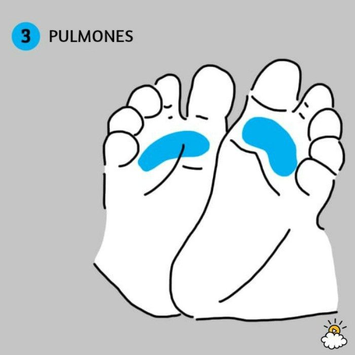 ilustración pulmones reflexiología de pies para salud de tu bebé