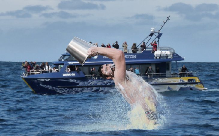 batalla photoshop en reddit hombre sensual echándose agua como si fuera ballena en avisamiento