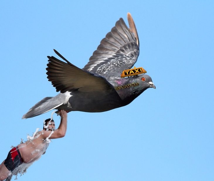 batalla photoshop en reddit hombre sensual echándose agua agarrado de patas de paloma volando