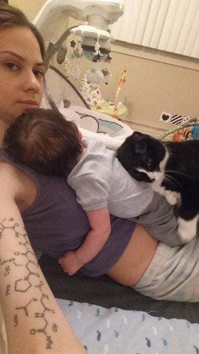 Gato acurrucado sobre el bebé de su dueña 