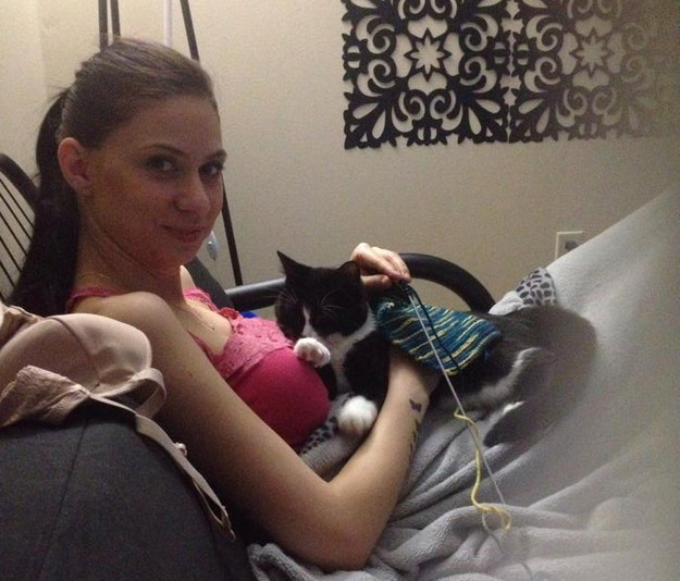 Gato que cuida a su dueña embarazada 