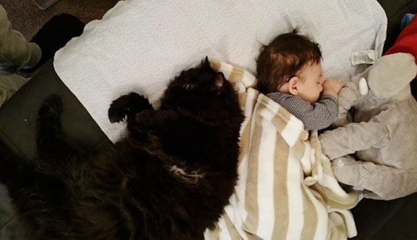 Gato acostado a un costado de un bebé 