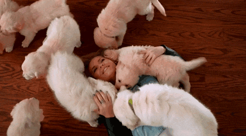 GIF chica rodeada de perros