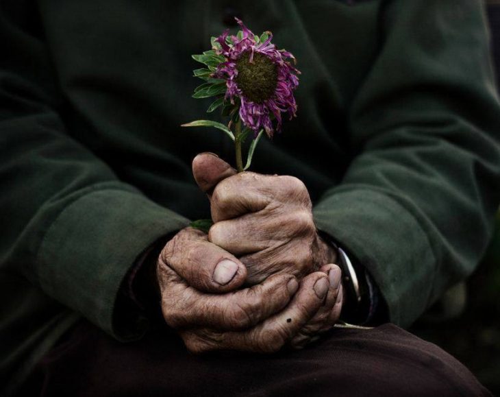 manos de abuelo con una flor en la mano 