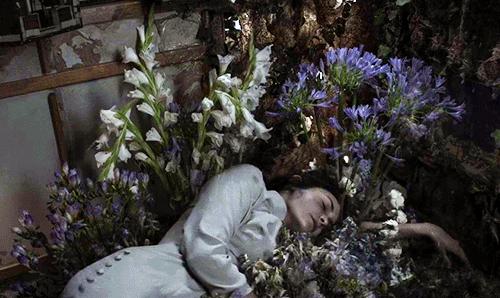 chica dormida entre flores que se despiertan