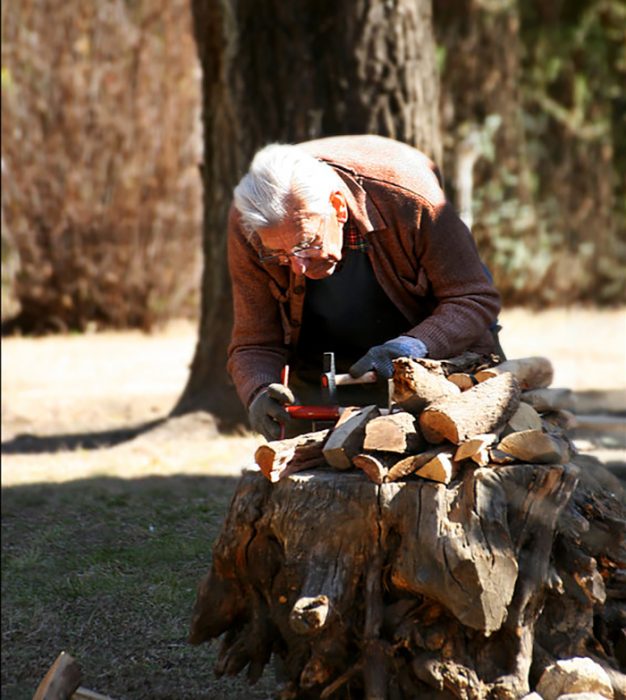 abuelo haciendo carpintería en el bosque 