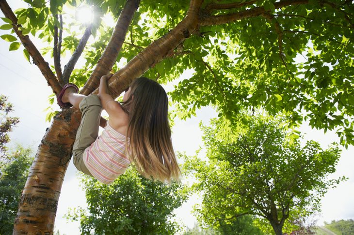 niña subiendo a un árbol