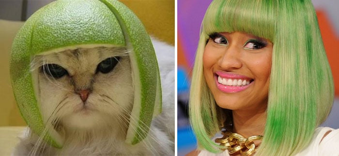 gato con cáscara y Nicki Minaj