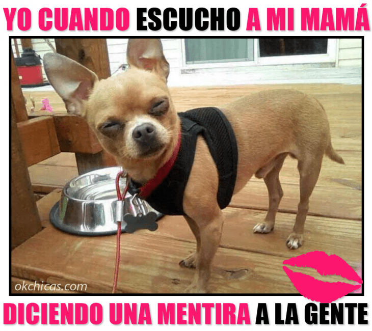 meme cuando escucho a mi mamá diciendo una mentira