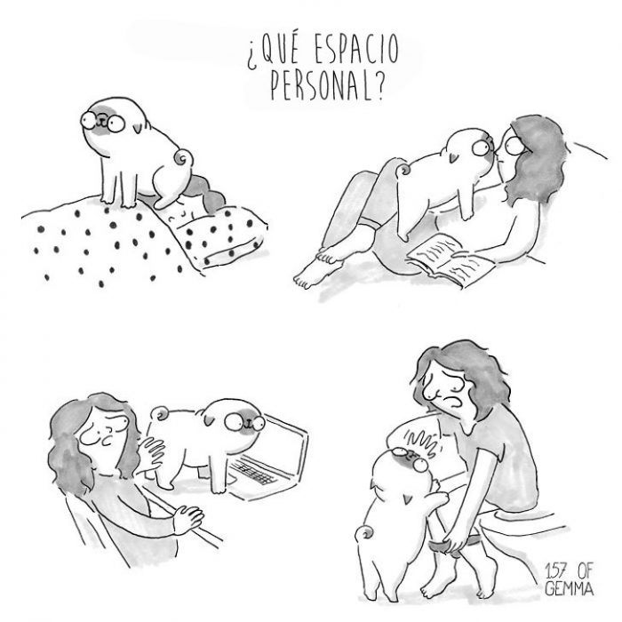 ilustracion de dueño y perro pug 