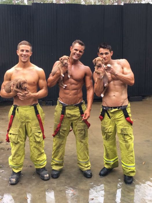 Bomberos posando con perritos 